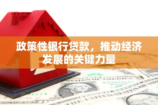 疏勒政策性银行贷款，推动经济发展的关键力量