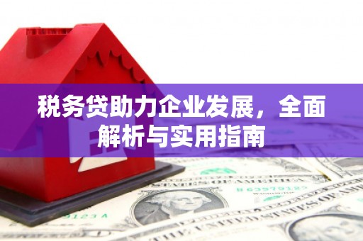 南州税务贷助力企业发展，全面解析与实用指南