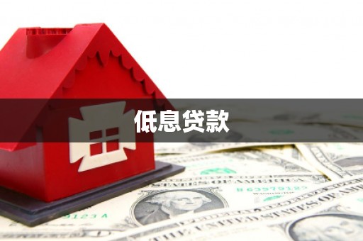 新罗低息贷款