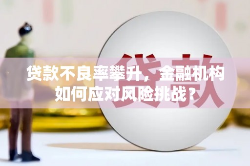 宜宾贷款不良率攀升，金融机构如何应对风险挑战？