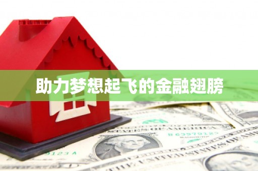 夷陵助力梦想起飞的金融翅膀
