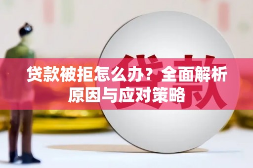 昭苏贷款被拒怎么办？全面解析原因与应对策略