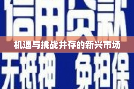 定远机遇与挑战并存的新兴市场