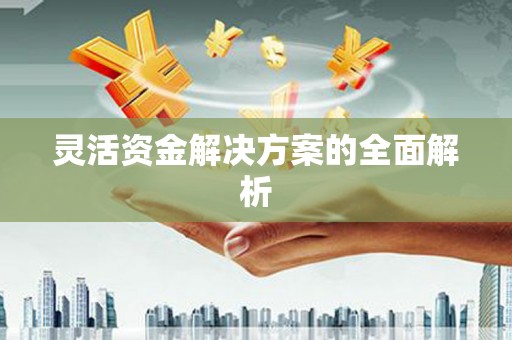 宣威灵活资金解决方案的全面解析