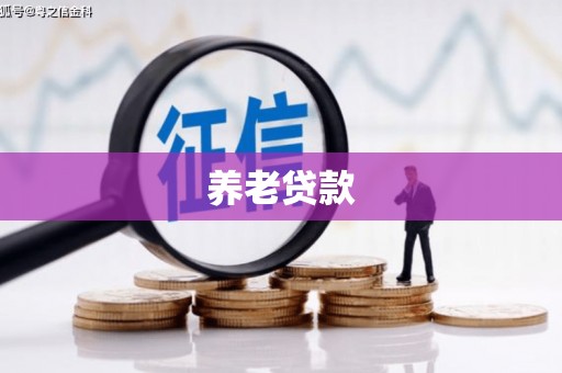 扶绥养老贷款