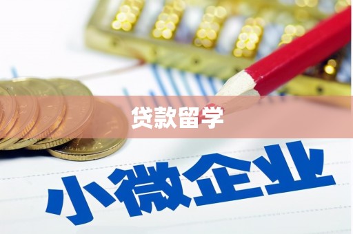 西昌贷款留学