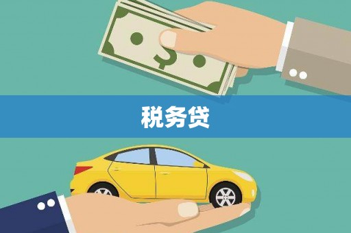上林税务贷